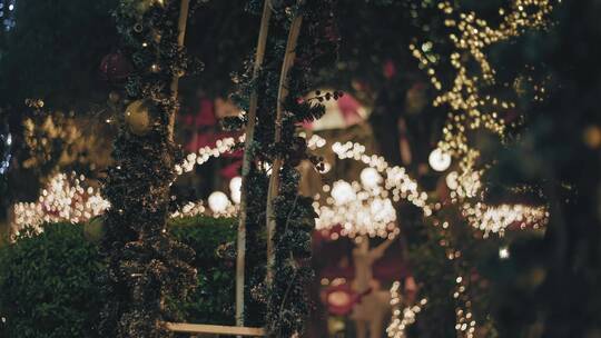 圣诞夜夜晚树上的闪烁灯