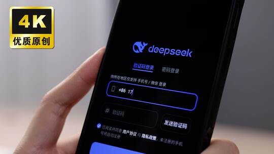 国产人工智能 deepseek软件app