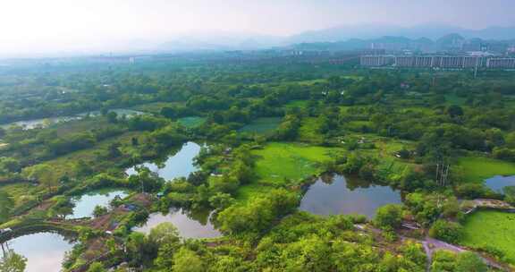 杭州余杭区五常湿地夏季风光