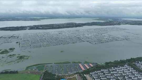 航拍苏州阳澄湖大闸蟹蟹田养殖阳澄湖风光