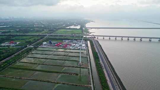 中国上海长兴岛海边稻田风车