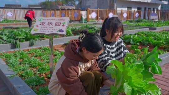 劳动实践基地义工志愿者留守儿童