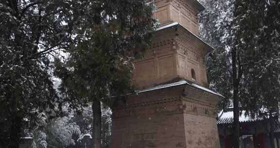 护国兴教寺雪景 寺院  唐三藏寺院