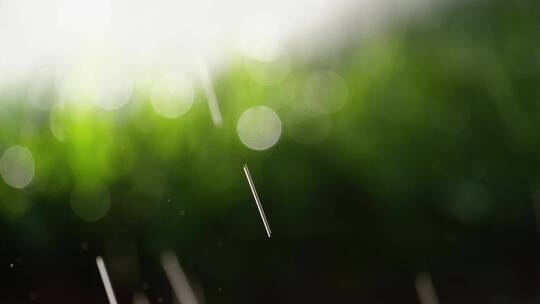 草地上的新雨