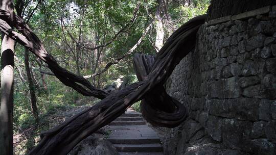 杭州凤凰山景区排衙石诗刻