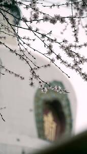 北京北海公园白塔盛开的桃花和飘落的雪花