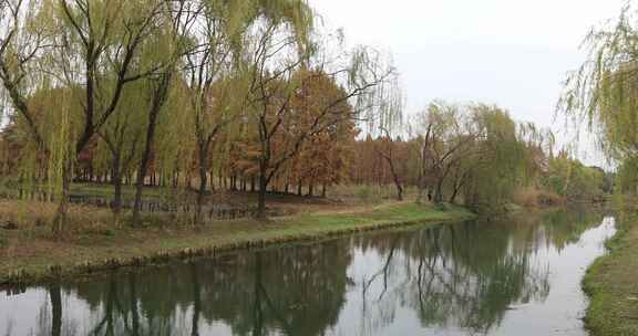 秋天苏州虎丘湿地公园生态景观