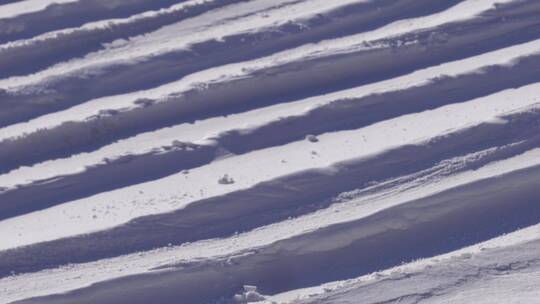 【镜头合集】玩雪滑雪打雪仗紫竹院