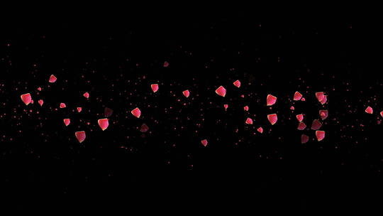 玫瑰花瓣粒子前景装饰视频素材带通道 