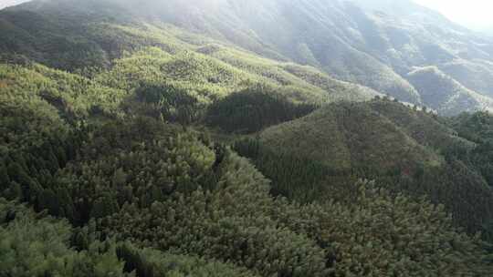 信宜钱排鹿湖顶航拍，高山湖泊，森林大山