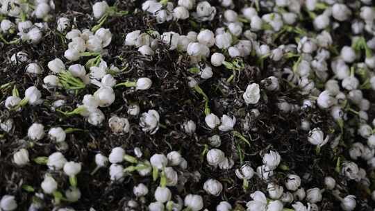 升格慢动作微距特写茉莉花与茉莉花茶制作