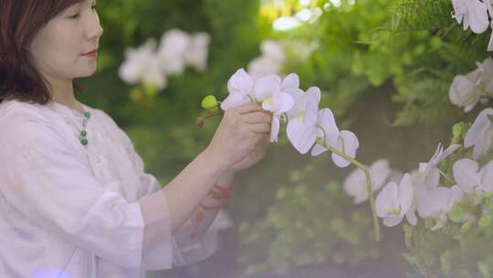 气质插花师插花视频素材模板下载