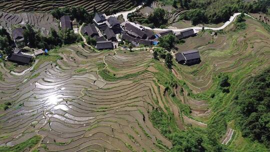 航拍山村田园湖南紫鹊界梯田