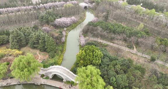 洛阳隋唐遗址植物园开元大道春天公园道路