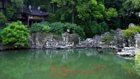 江南园林中式庭院中的池塘和假山石风光