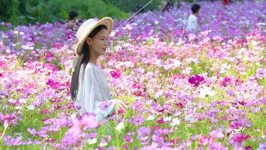 在格桑花海中的少女