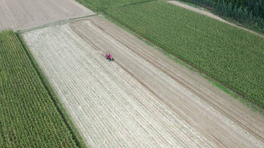 航拍俯拍农村田地成熟玉米地