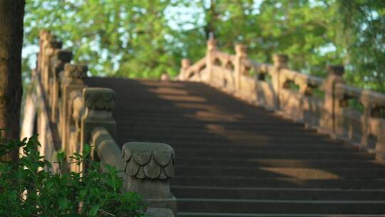 杭州 风景 早晨 古风 小桥