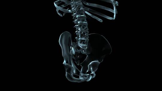 腰椎和骨盆医学动画