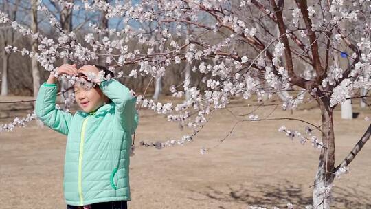 北京初春在盛开桃花的树下照相女孩视频素材模板下载