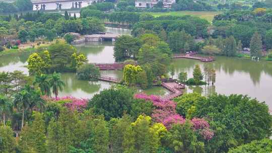 广州海珠湖湿地公园航拍海珠区城市地标