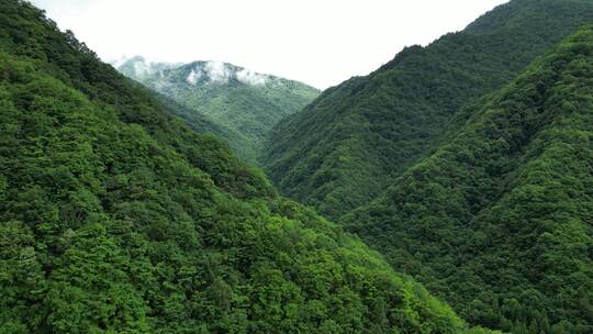 航拍湖北神农架5A景区