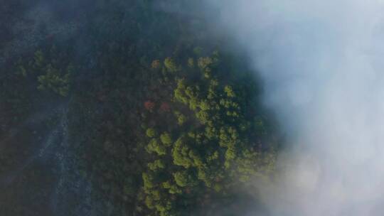 高山森林晨曦云海晨雾航拍