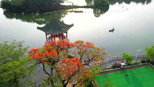 西湖凤凰花船大景