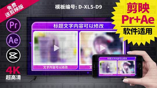 视频包装模板Pr+Ae+抖音剪映 D-XL5-D9
