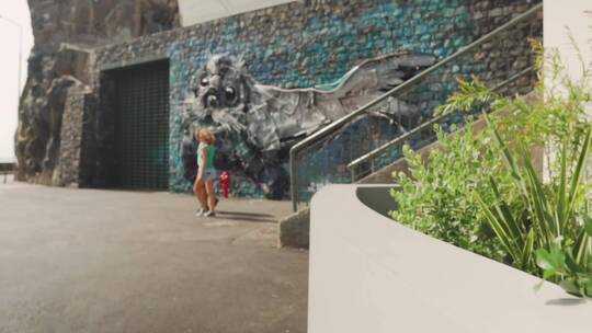 经过石墙海狮雕塑的游客视频素材模板下载