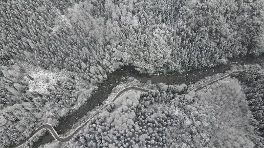 冬天森林雪景