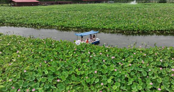 航拍游船赏花