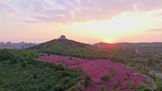 航拍夕阳下的枣庄 粉黛公园