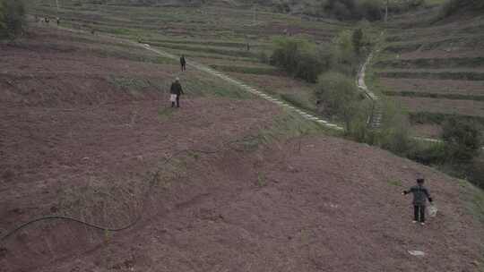 中国西部四川大凉山农民播种场景