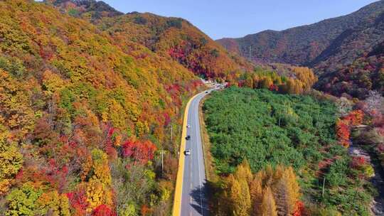 辽宁本溪秋天枫叶本桓公路