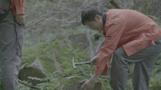 野外地质调查