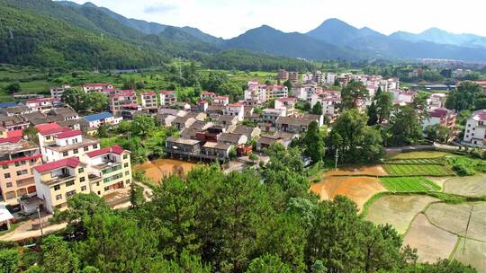 乡村振兴：脱贫后的井冈山美丽乡村