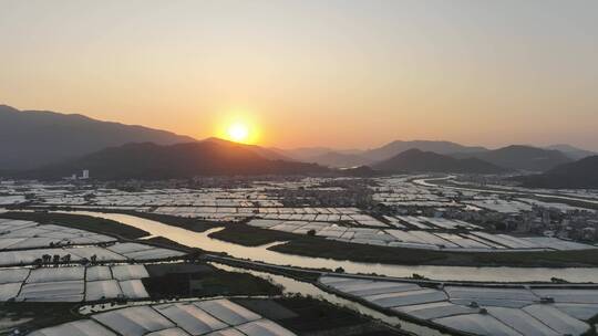 乡村振兴农业发展漳州龙海蔬菜水果养殖基地