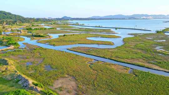 海南陵水环岛乡村旅游公路的新能源汽车