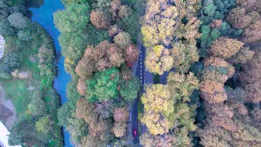 航拍杭州花圃园林景观视频