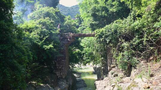 农民村牵着大黄牛春耕田地早晨云雾中桥上走