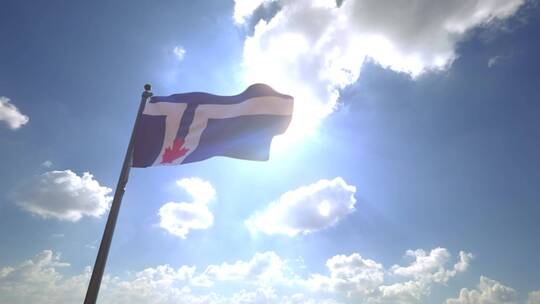 旗杆上的多伦多市旗在风中飘扬
