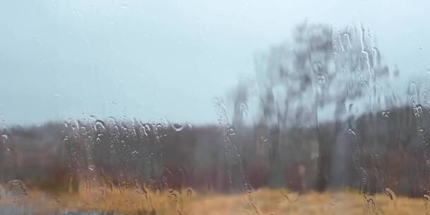 大雨拍打窗户树木地面