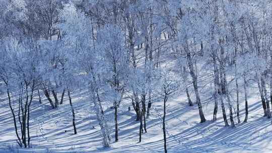 乌兰布统雾凇雪景雪林航拍