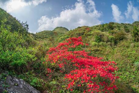 大山延时森林等