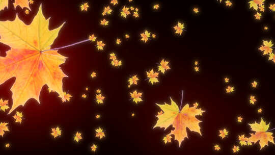 枫叶落叶 五叶枫叶树叶带透明通道 秋天视频素材模板下载