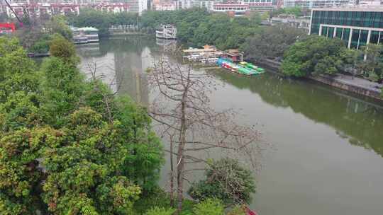 广州东山湖公园景色航拍素材