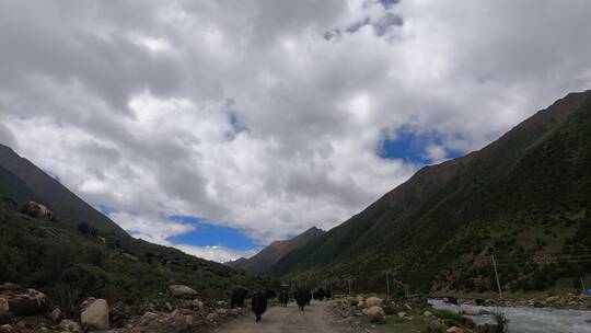 西藏车拍移动第一视角自然风景危险山路公路