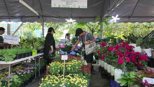 泰国色彩斑斓的鲜花市场