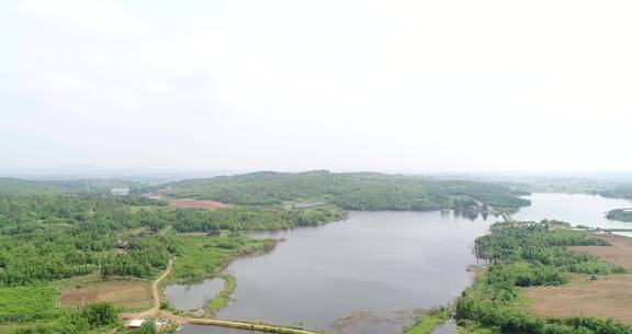 湖北枣阳森林鱼塘水库